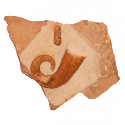Heteroceras emerici + ptychoceras puzosianum