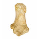 Bronthotherium megaceratops calcaneus