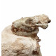 Sinclairella dakotensis (skull and vertebra)