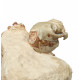 Sinclairella dakotensis (skull and vertebra)