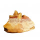Eoarctos vorax (bear dog jaw)