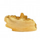 Eoarctos vorax (bear dog jaw)