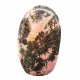Rhodonite Free Form