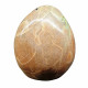 Garnierite - Green Moonstone Free Form