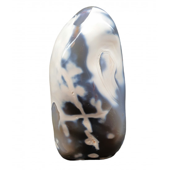 Orca Agate Free Form