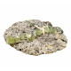 green apophyllite and stilbite