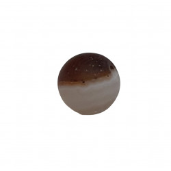 Bead sardonyx 8mm