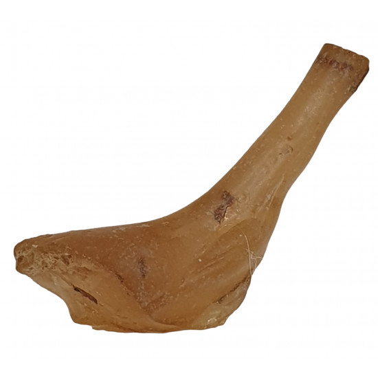 amber (copal) with insect