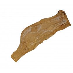 amber (copal) with insect