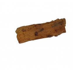 amber (copal) with insect