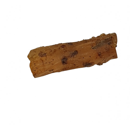 amber (copal) with insect