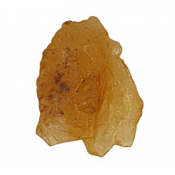amber (copal) with insect