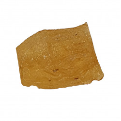 amber (copal) with insect