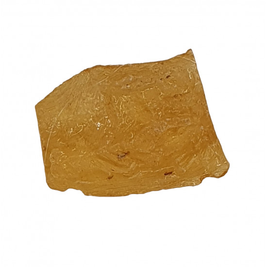 amber (copal) with insect