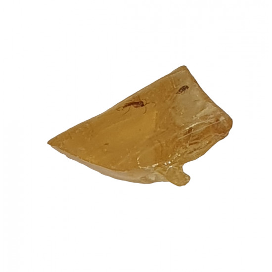 amber (copal) with insect
