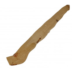 ambre (copal) avec insecte