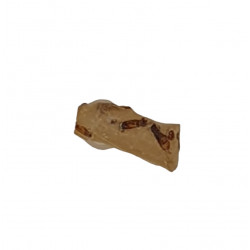 amber (copal) with insect