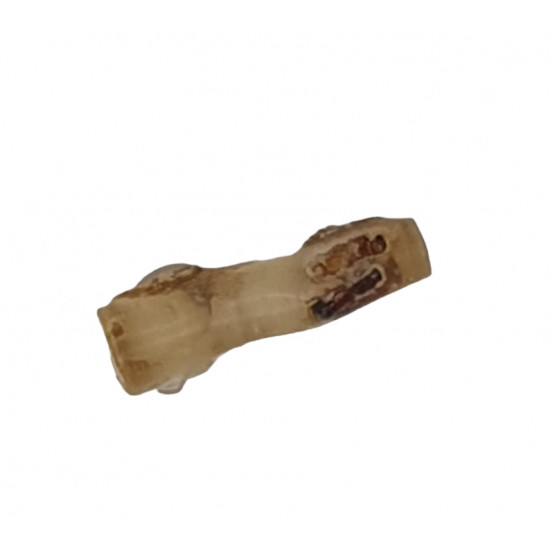 amber (copal) with insect