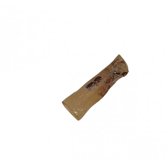 amber (copal) with insect