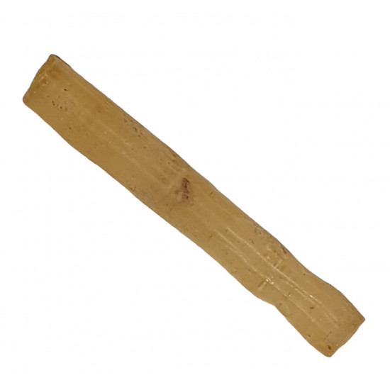 ambre (copal) avec insecte