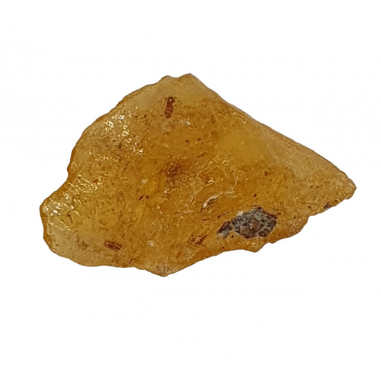 amber (copal) with insect