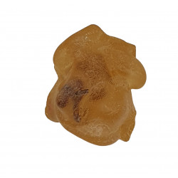 amber (copal) with insect