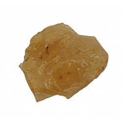 ambre (copal) avec insecte