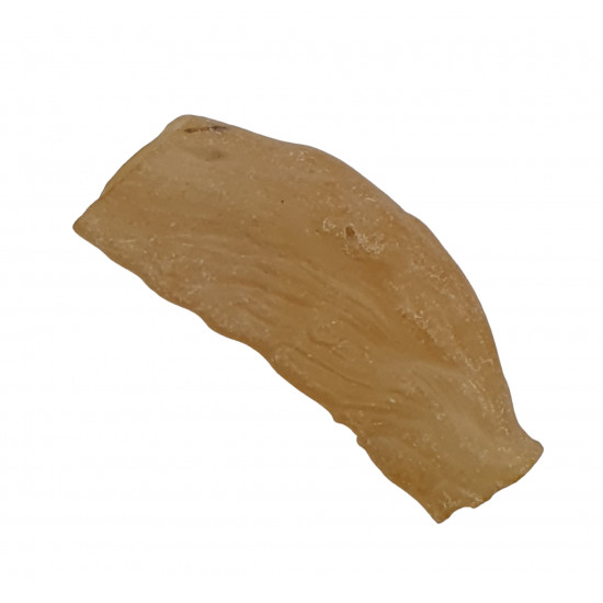amber (copal) with insect