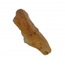 amber (copal) with insect