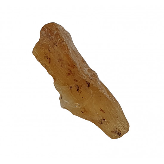 amber (copal) with insect