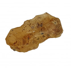 amber (copal) with insect