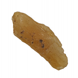 amber (copal) with insect
