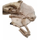 Hyaenodon horridus (skull and leg)