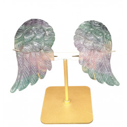 ailes d'ange en fluorine arc en ciel