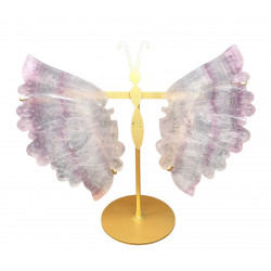 ailes de papillons en fluorine