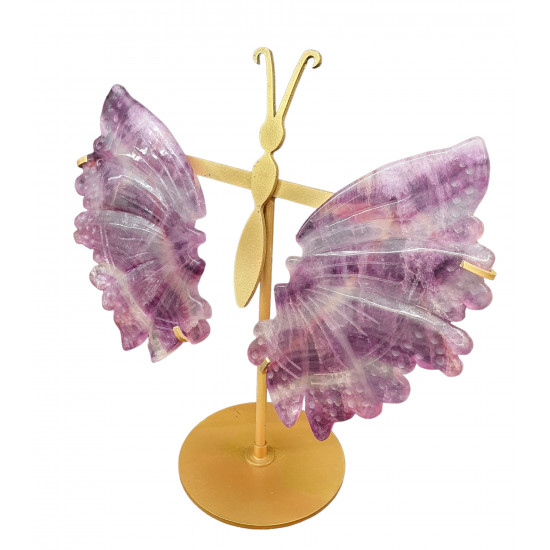 ailes de papillons en fluorine