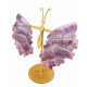 ailes de papillons en fluorine