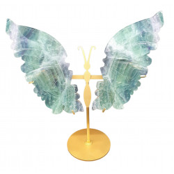 ailes de papillons en fluorine