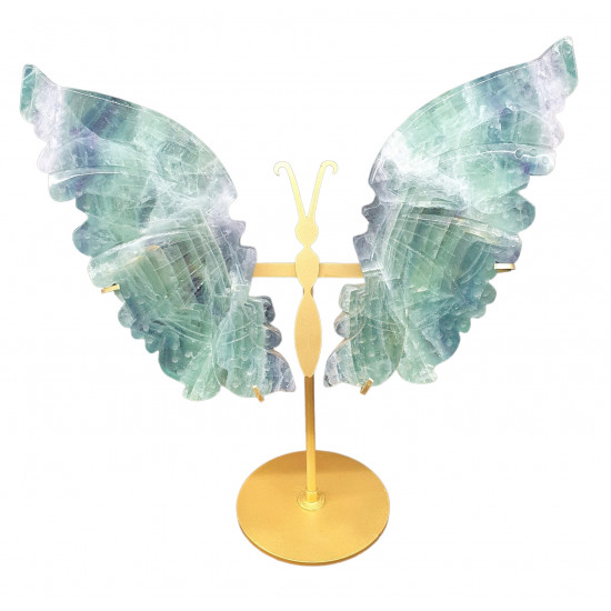 ailes de papillons en fluorine