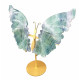 ailes de papillons en fluorine