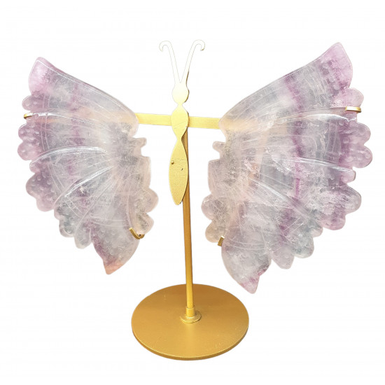 ailes de papillons en fluorine