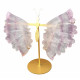 ailes de papillons en fluorine