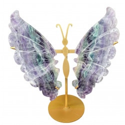 ailes de papillons en fluorine