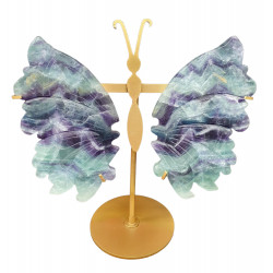 ailes de papillons en fluorine