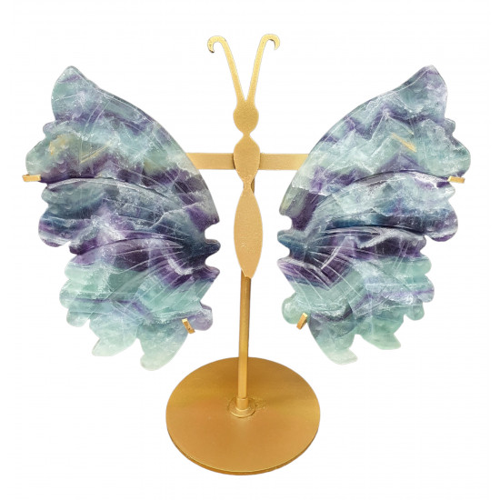 ailes de papillons en fluorine