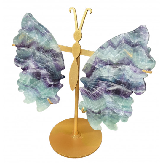 ailes de papillons en fluorine