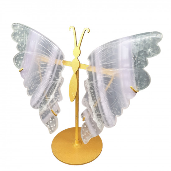 ailes de papillons en fluorine