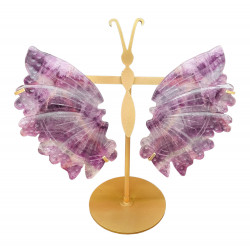 ailes de papillons en fluorine