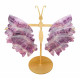 ailes de papillons en fluorine