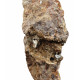 quartz with petroleum inclusion (UV reactive)
